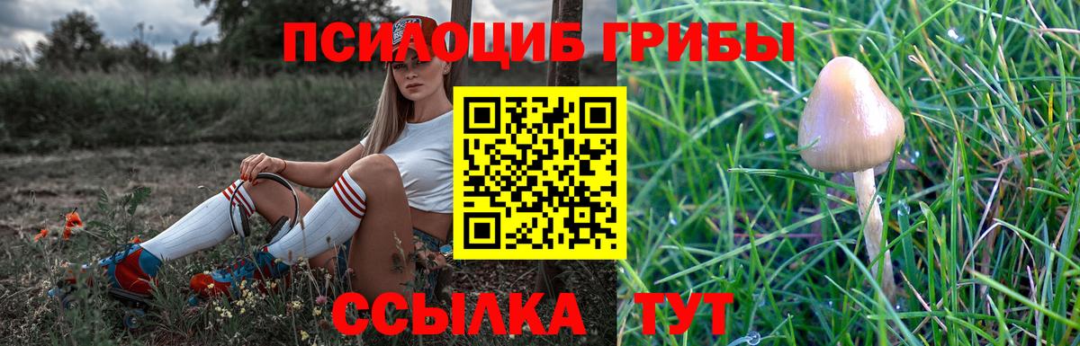 Псилоцибиновые грибы мицелий  Вход с VPN  Кызыл 